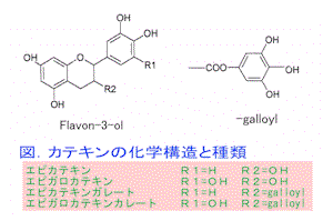 気ままに有機化学 カーボンナノチューブ In 伊右衛門 濃いめ